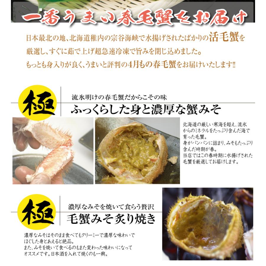 ＜ 蟹 訳あり 送料無料 ＞ 毛ガニ 毛蟹 毛がに 浜茹でボイル 1kg セット (2尾入り)( お歳暮 ギフト カニ )｜tppn｜03