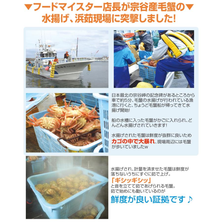 ＜ 蟹 訳あり 送料無料 ＞ 毛ガニ 毛蟹 毛がに 浜茹でボイル 1kg セット (2尾入り)( お歳暮 ギフト カニ )｜tppn｜05