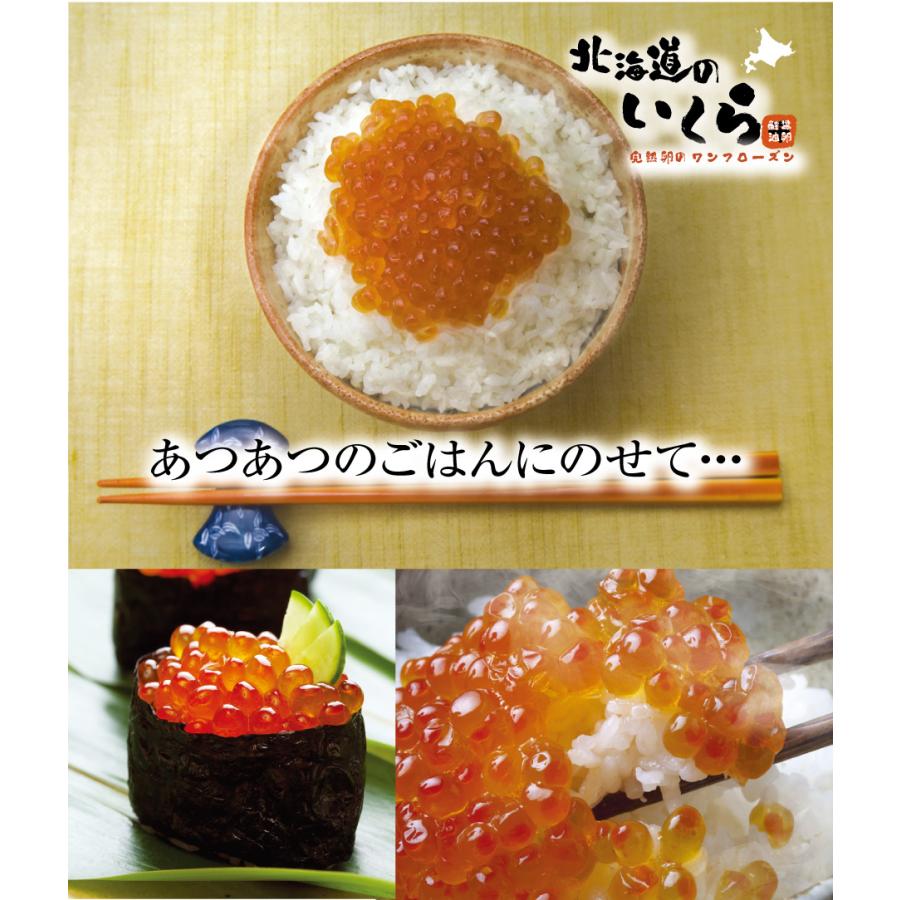 北海道のイクラ 完熟卵使用のワンフローズン極上品 北海道稚内産の鮭卵いくら醤油漬け 100g Wcrt 32 北海道かに スイーツ てっぺん 通販 Yahoo ショッピング
