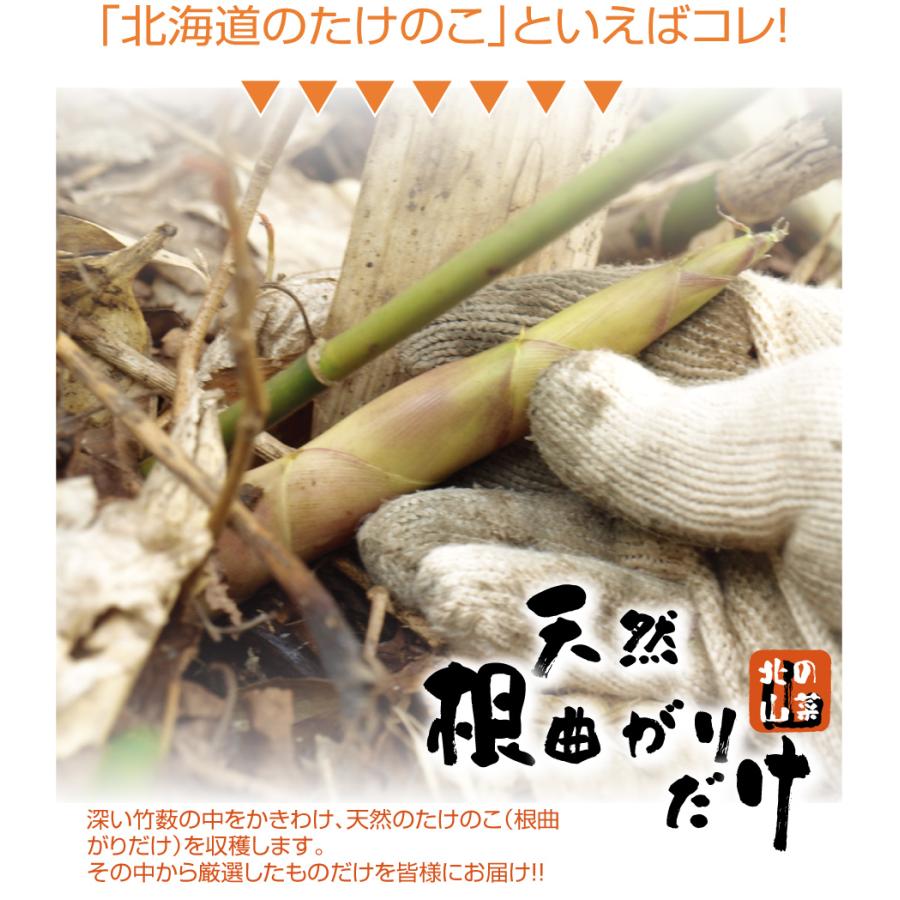 < 送料無料 > 北海道 たけのこ 天然物 天然根曲がり竹 1kg セット｜tppn｜02