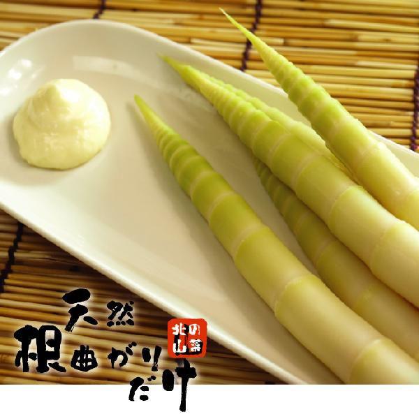 送料無料 北海道 たけのこ 天然物 天然根曲がり竹 1kg セット Wttp 03 北海道かに スイーツ てっぺん 通販 Yahoo ショッピング