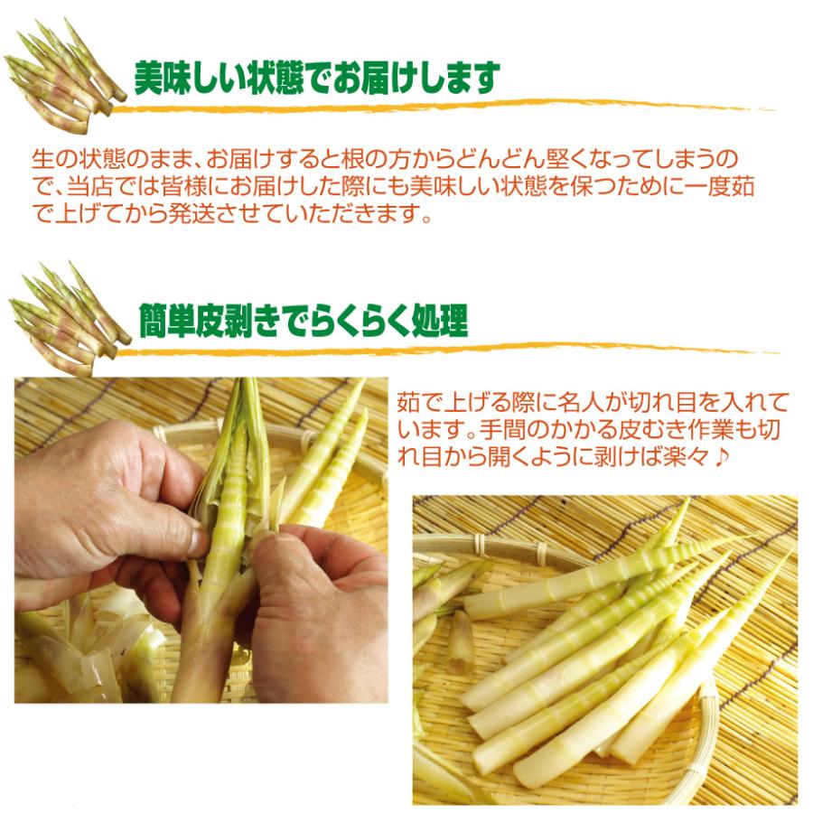 たけのこ　北海道産根曲がり竹　大瓶5本セット たけのこ 70g | 吉粋(きっすい) 北海道から全国へ