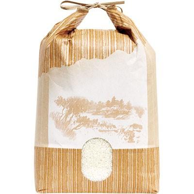 アサヒパック ひも付きクラフト米袋 窓付 しだれ縞 10kg用 （200枚）幅240×長さ525mm | 