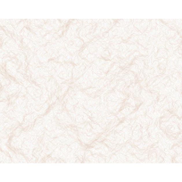 アサヒパック 和紙包み雲竜無地＜小＞　(200枚)巾220×長さ280mm |  | 01