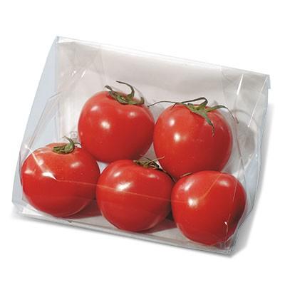 福助工業 デリカパックEタイプ EA23-20 無地D （2400枚）230（巾160+マチ70）×長さ200m | 