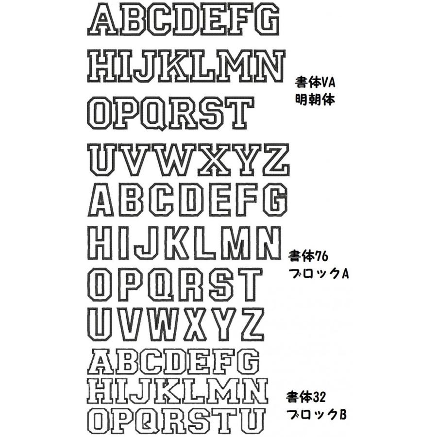 プロ野球応援グッズセミオーダー 共通 標準サイズ4字迄 縁取り刺繍ローマ字選手名ワッペン 希望文字色書体対応 ランキング総合1位 英字 アルファベット