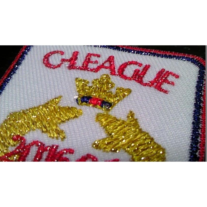 セ・リーグ チャンピオンワッペン 2016 プロ野球応援グッズ（広島用