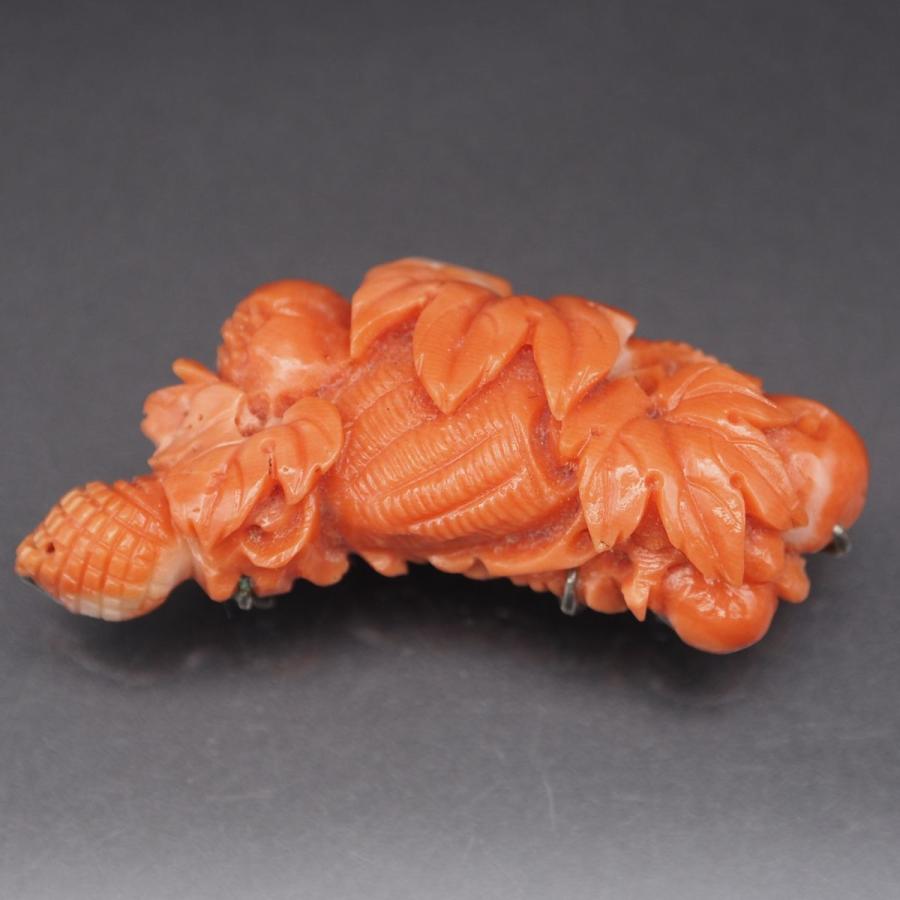 S246 珊瑚 サンゴ 帯留め リーフ 葉彫刻 デザイン 和装小物 3月誕生石