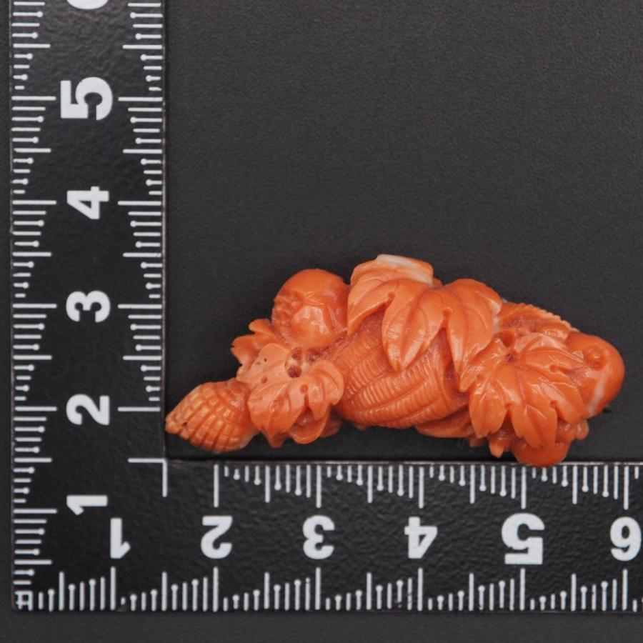 S246 珊瑚 サンゴ 帯留め リーフ 葉彫刻 デザイン 和装小物 3月誕生石