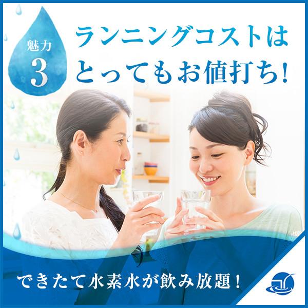 ルルドプレミアム 水素ガス吸入セット 【豪華特典】交換用
