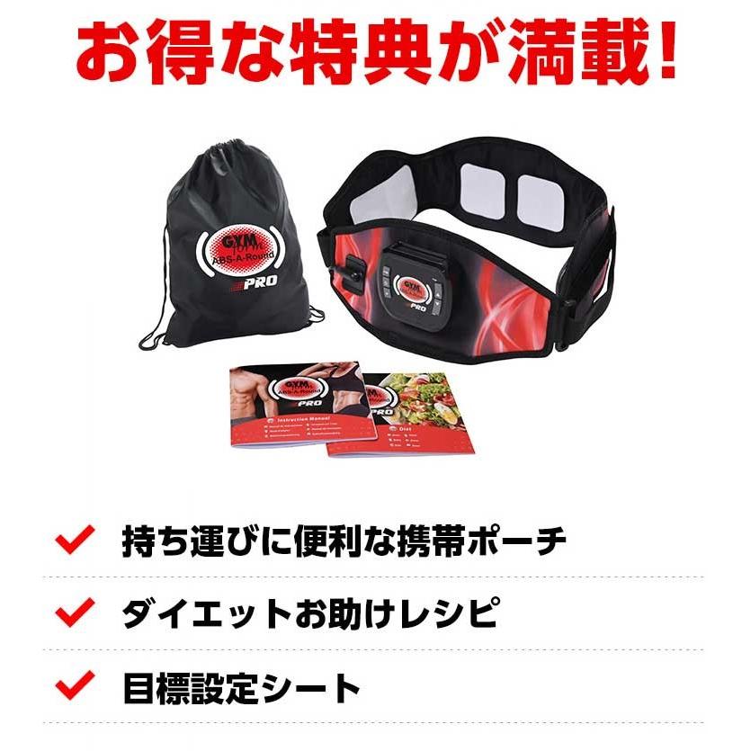 最新版！ジムフォーム・アブスアラウンドプロ プラチナム EMS360