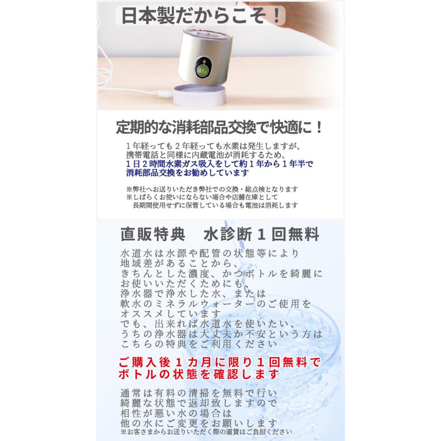最新モデル】 ダブル水素ボトル【メーカー公認販売店】 カニューレ1本