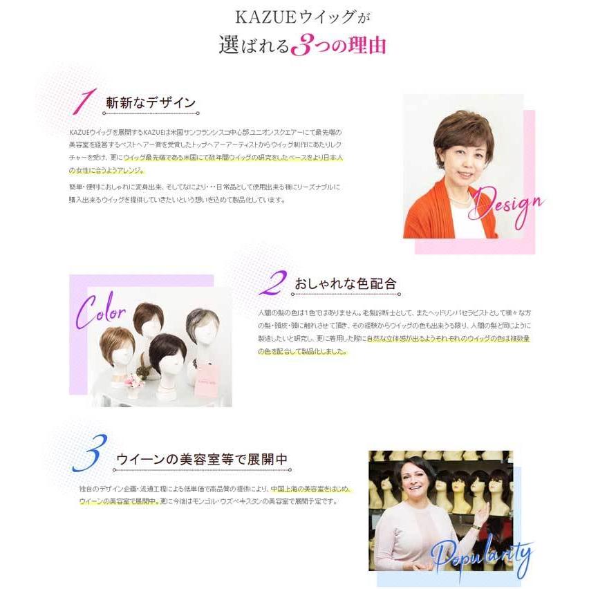 頭皮部分隠し 銀座ＫＡＺＵＥ　ミセス ポイントウィッグ 人毛ミックス 総手植え　　薄毛・円形脱毛症隠し　ヘアピース 薄毛 白髪隠し　ウィッグ専用ブラシ付きの画像