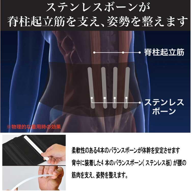 ターボセルプレミアムベルト ターボセル プレミアムベルトコア 正規販売店 : トライコレクション