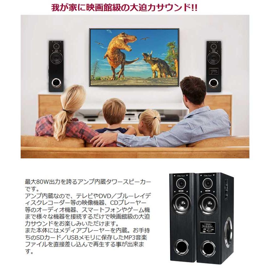 ダイナミック・サウンドスピーカー DS-12 クマザキエイム アンプ内蔵