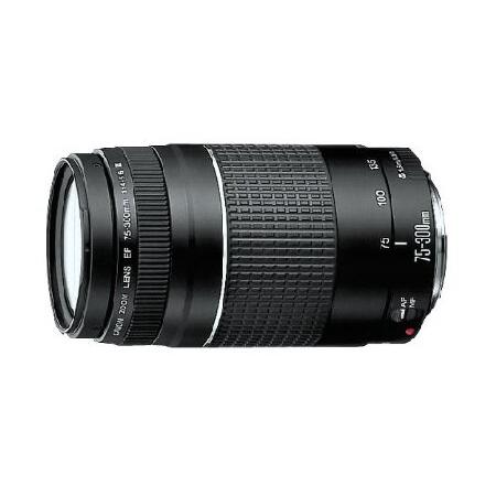 平行輸入品】Canon EF 75-300mm F/4-5.6 III 6473A003 : Trade Journey