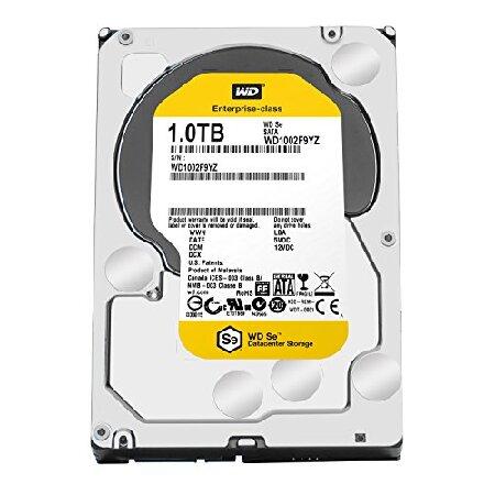 平行輸入品】Western Digital ハードディスクドライブ HDD WD1002F9YZ