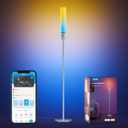 平行輸入品】Govee RGBIC Cylinder Floor Lamp, LED Corner Lamp with