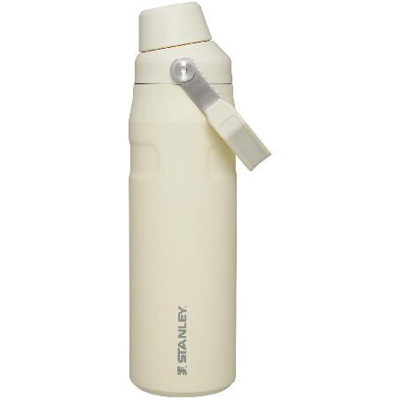STANLEY（スタンレー） 【平行輸入品】Stanley IceFlow(TM) Fast Flow