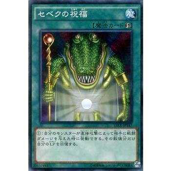 セベクの祝福 遊戯王カード 遊戯王オフィシャルカードゲーム デュエルモンスターズ 遊戯王カード