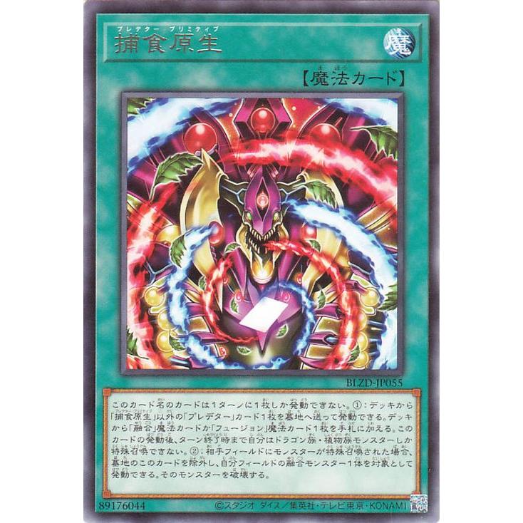 遊戯王オフィシャルカードゲーム デュエルモンスターズ 遊戯王カード