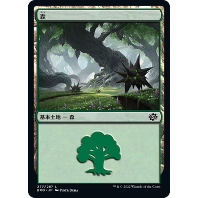 Magic: The Gathering（マジック：ザ・ギャザリング） 兄弟戦争 森