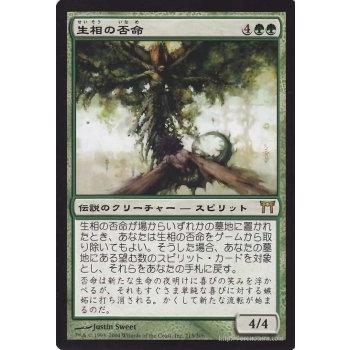 Magic: The Gathering（マジック：ザ・ギャザリング） 生相の否命