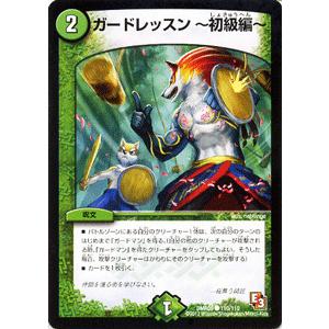 デュエル・マスターズ ガードレッスン〜初級編〜/DMR09/レイジVSゴッド