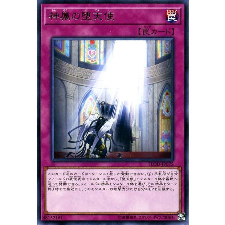 遊戯王オフィシャルカードゲーム デュエルモンスターズ 遊戯王カード 