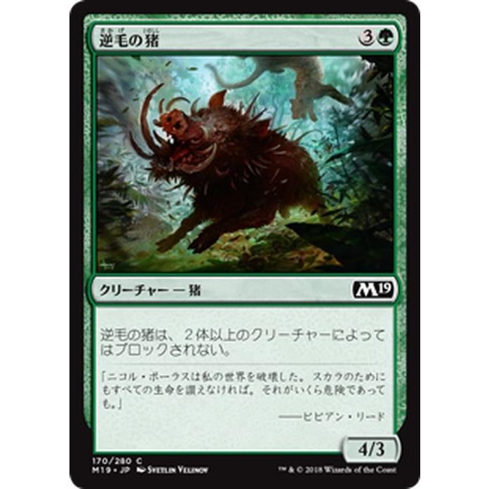Magic: The Gathering（マジック：ザ・ギャザリング） MTG 逆毛の猪