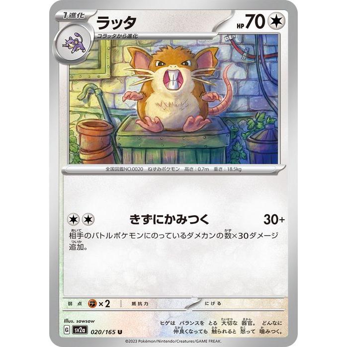 pokemon 151」の人気商品一覧・価格比較 - 価格.com psa10 イワーク U