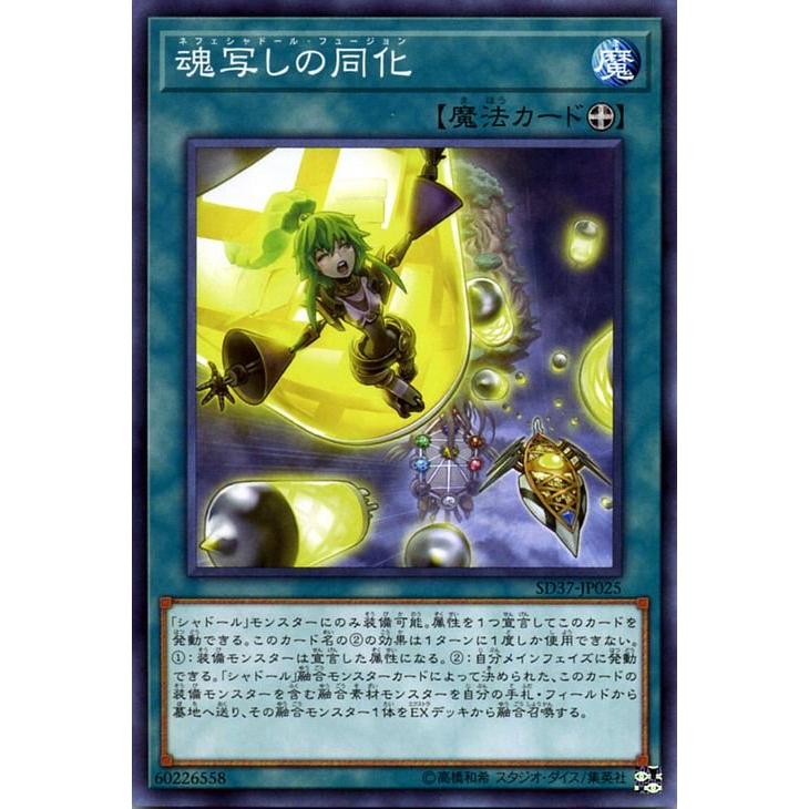 【新品未開封】遊戯王　リバースオブシャドール　３個セット Amazon | 遊戯王OCG デュエルモンスターズ ストラクチャーデッキ