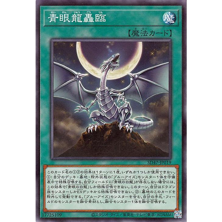 遊戯王オフィシャルカードゲーム デュエルモンスターズ 遊戯王カード