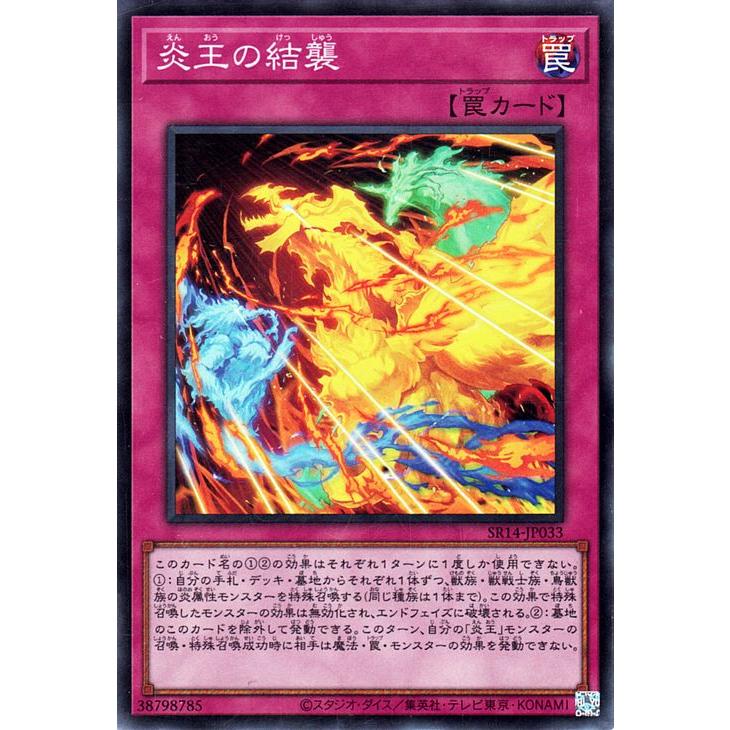 遊戯王オフィシャルカードゲーム デュエルモンスターズ 遊戯王カード