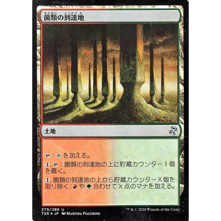 MTG 時のらせん マジックザギャザリング 【公式通販】