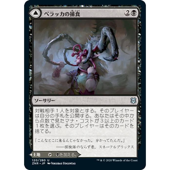 MTG ペラッカの捕食/ペラッカの洞窟 アンコモン ゼンディカーの夜明け ZNR-120 ギャザ MTG マジック・ザ・ギャザリング 日本語版 黒｜trade-lab-japan