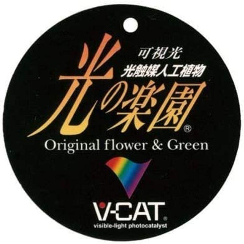 光触媒 光の楽園 フレッシュ胡蝶蘭W8本立アートフラワー 造花 造花 光触媒 光の楽園 フレッシュ胡蝶蘭W8本立アートフラワー 　 ×