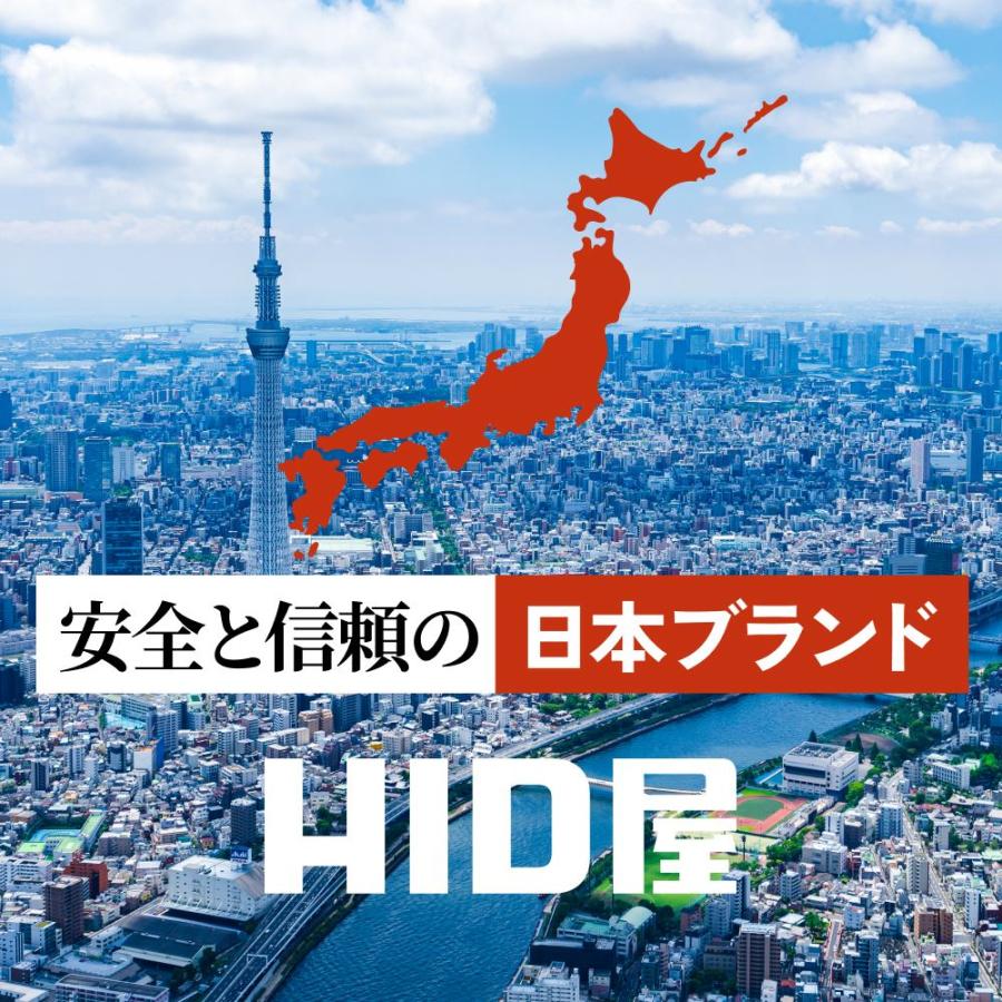 HID屋 LEDヘッドライト D1S/D3S 6500k 20200cd(カンデラ HID屋 LEDヘッドライト D1S/D3S 6500k 20200cd(カンデラ