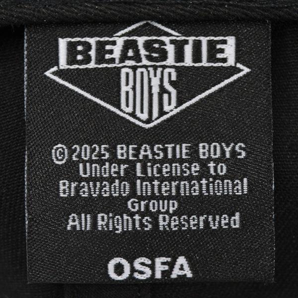 BEASTIE BOYS ビースティボーイズ Check Your Head Logo スナップバックキャップ |  | 02