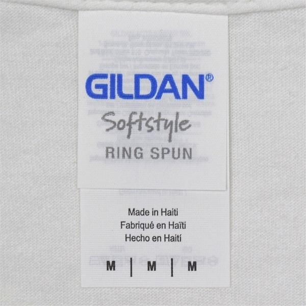 PIXIES ピクシーズ Surfer Rosa Tシャツ WHITE : GEEKHEAD - 通販