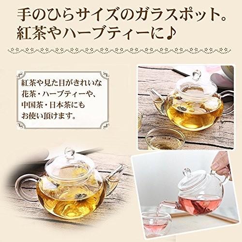 Nature Park 250ml 耐熱ガラス ティーポット 急須 ガラス 紅茶ポット かわいい 小サイズ 業務用 飲食店 お店用 一人 クロスタウンストア 通販 Yahoo ショッピング