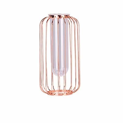 花瓶 ガラス瓶 インテリア 花器 花飾り 金属枠 透明 花器 テラリウム容器 田園 水耕栽培 ミニ観葉植物 栽培キ クロスタウンストア 通販 Yahoo ショッピング