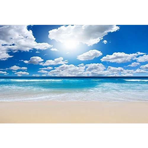 東宝 タペストリー インテリア 横幅150cm 縦幅100cm 海 砂浜 太陽 青空 白雲 夏 風景 景色 おしゃれ 落ち着く クロスタウンストア 通販 Yahoo ショッピング