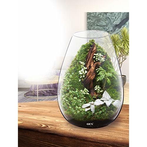 定番のお歳暮 冬ギフト Gex Aquarium グラスアクア キャンドル 水草 多肉植物 コケリウム テラリウム ガラス製 約4l Shipsctc Org