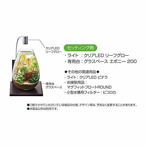 定番のお歳暮 冬ギフト Gex Aquarium グラスアクア キャンドル 水草 多肉植物 コケリウム テラリウム ガラス製 約4l Shipsctc Org