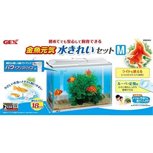 大きな割引 ジェックス 金魚元気 水きれいセットm