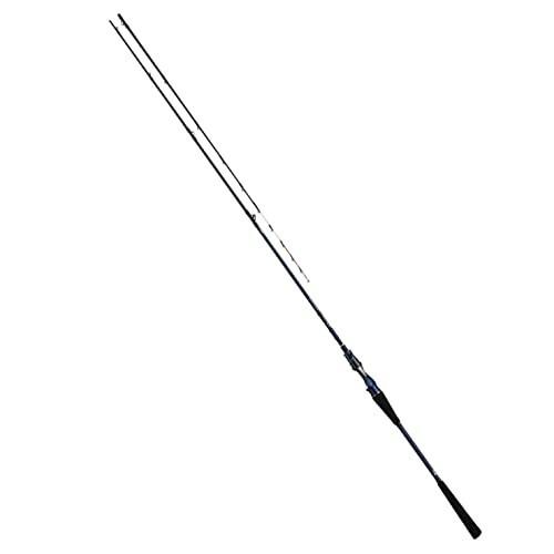 ダイワ Daiwa 極鋭タチウオテンヤsp 船竿 極鋭タチウオテンヤsp ロッド 釣り竿