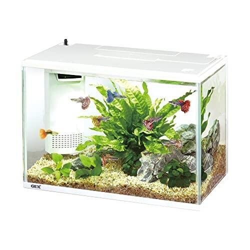 オープニング大放出セール Gex Aquarium サイレントフィットアルファ Ledセット 400 静音 省電力フィルター Led付 Shipsctc Org