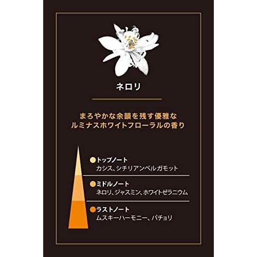 エステバン ネロリ スティック 40本 お香 香立て付 インセンス 日本製｜trafstore｜02