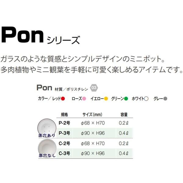 大和プラスチック PON 鉢 C-2号 ローズ 底穴無し｜trafstore｜03